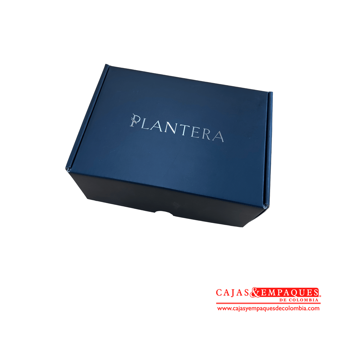 Imagen destacada de Caja plegadiza ensamblada | Plantera SAS - 20x12x6 cm
