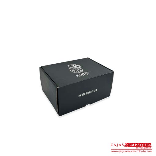 Imagen destacada de Caja plegadiza micro corrugado | Blow Up 26.5x20x13 cm