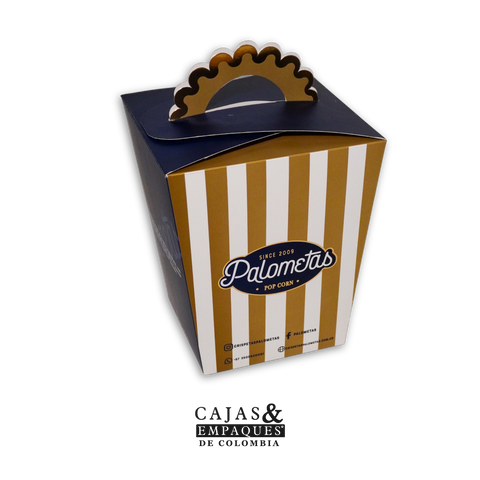 Caja tipo maletín | Palometas de 13x13x20 cm