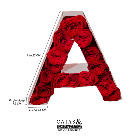 Amor y amistad
