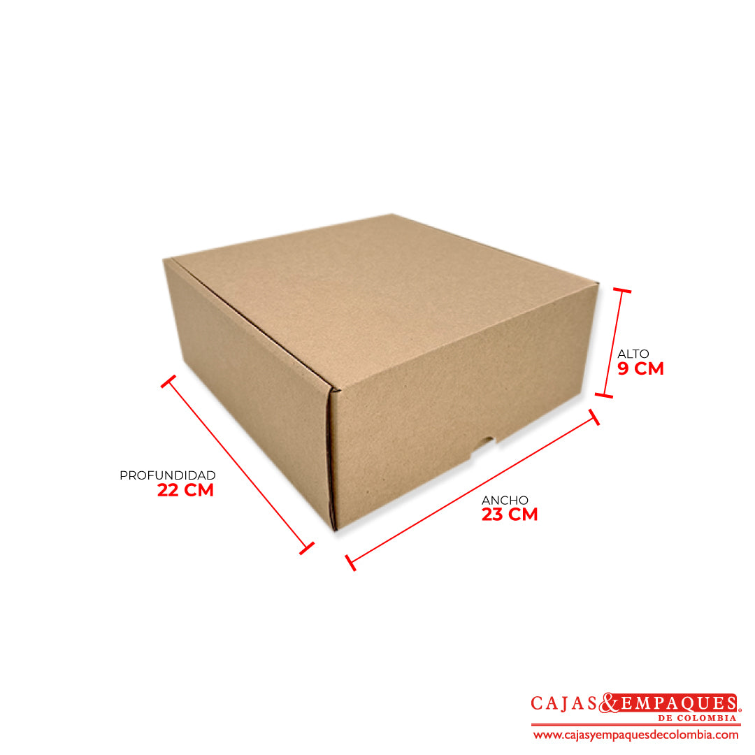 Caja ecológica plegadiza 22x23x9 cm micro-corrugado Cajas y Empaques de Colombia