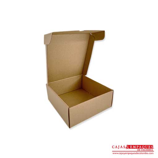 Caja ecológica plegadiza 22x23x9 cm micro-corrugado Cajas y Empaques de Colombia