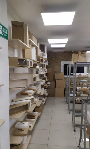 Foto de Juan Carlos Taborta T